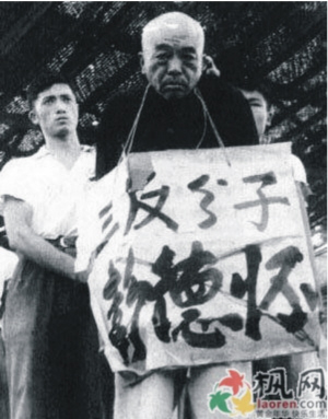 彭德怀在文革被批斗